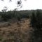 Dry Comal Creek
