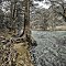 Camping at the Guadaloupe River