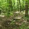 Trail View