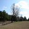 The Old Warren Homestead