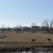 Lazy Day in Linden, TX