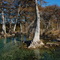 Sabinal River at Utopia, TX