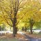 Oak Hill Cemetery