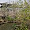 Widening Dam, Olentangy River