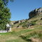 Lone Tree ranch