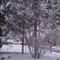 South Central Snow 2009