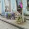 Quaint Main Street Store