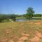 Pond at Edmund's Park