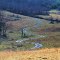 Winding Road off Route 220 (Virginia)