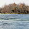 South Holston River