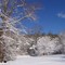 Shipman Snow