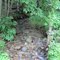 Cub Creek