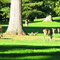 Golfcourse