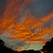 Sunset at Circle C Park