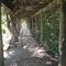 Colonnade at Ladybird Johnson Wildflower Center