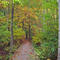 Cheshire Park