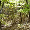 Panthorn Park