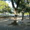 Dick Nichols Playground