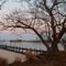 Aquia Moon - Stafford County, VA.