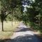 the path