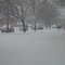 Nevada en Harrisonburg, VA.