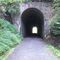 Guest River Gorge Tunnel