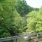 Guest River Gorge