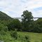 Clinch River Trestle