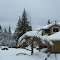 Winter 2011
