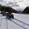 Winter Quadding