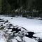 Frozen Salmon River