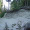 Bird nests in cliff
