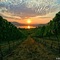 Lake Chelan Sunrise