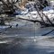 River of Ice