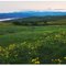 Columbia Hills