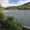 Along the Deschutes River trail