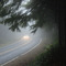 Foggy Highway  - 200802LJW
