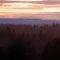 Near Brush Prarie, Wa
