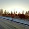 The morning