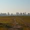 Waupaca Field