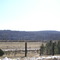 Field Along Millbrook Rd