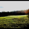 A Field