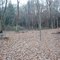 Campsite at River Highlands