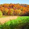 Autumn Trempealeau County Wisconsin
