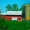Farm with a Concrete Silo