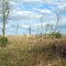 Frontenac State Park 2