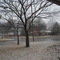 301 glenoak dr