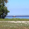 Short Beach