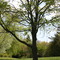 Booth Memorial Park