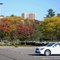 Selton Square, Bridgeport Avenue